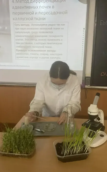 8a6afe0c-cd99-41d4-85ad-d8ade0069ed0