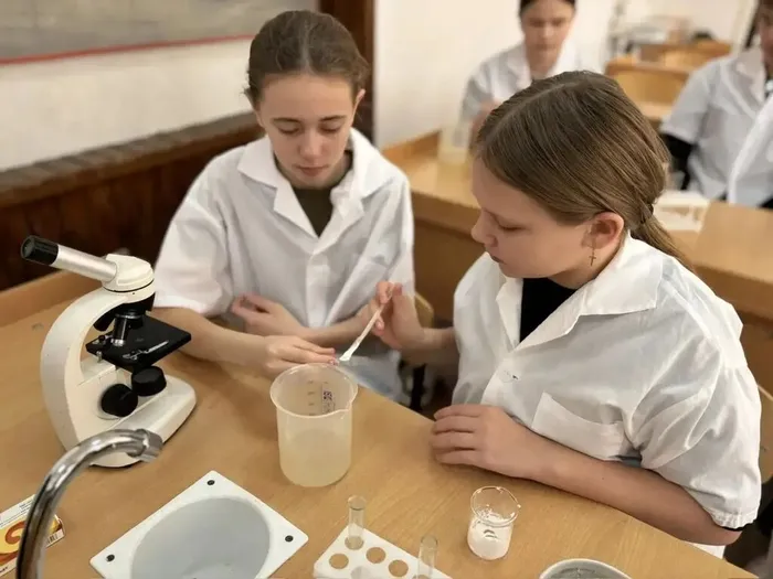 466dbbe8-22e1-4a2b-a069-4ac8c51cd8e7