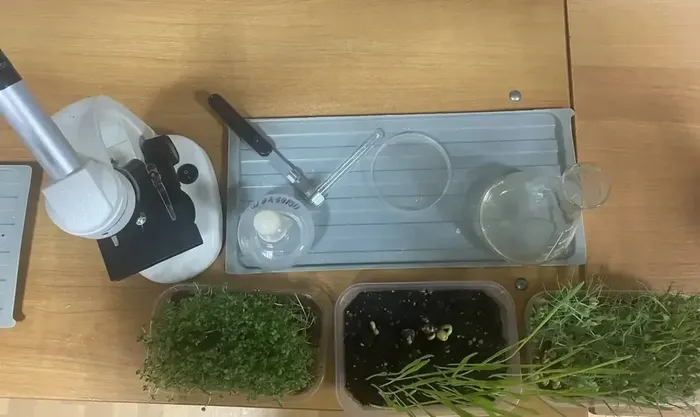 cce35ab0-b4bf-4154-bfa6-590953db8052